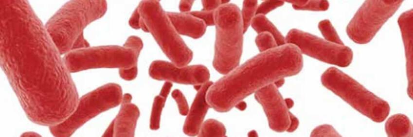 warm water legionella